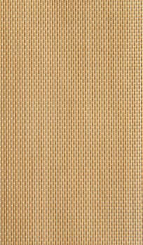 CF210 CHEMFAB Standard Series PTFE Coated Fiberglass Fabric, tan, 60" wide x 36 SY roll